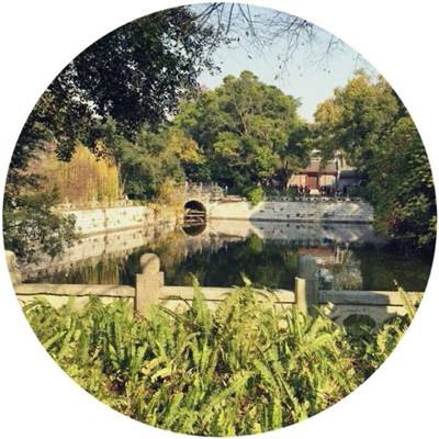 光明王座手游下载