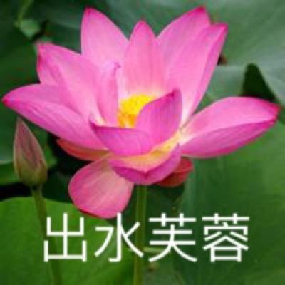 华为荣耀龙城游戏下载